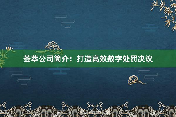 荟萃公司简介：打造高效数字处罚决议